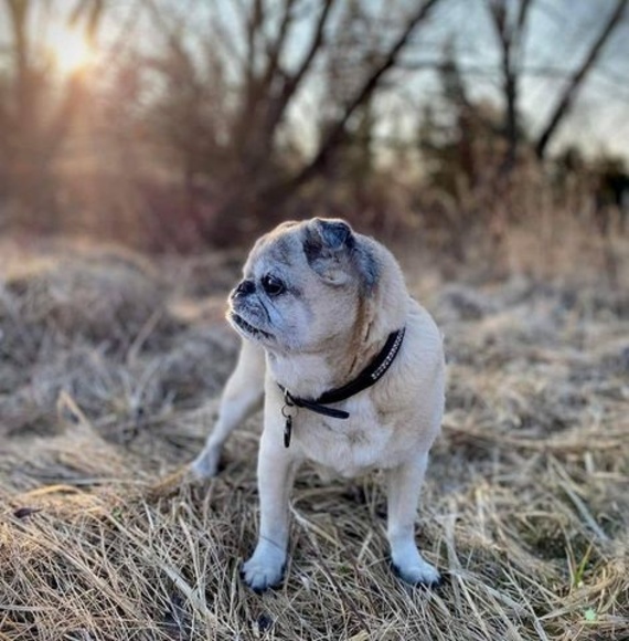 Meet your Posher, Danielle - Picture 1 of 1